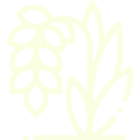 rice-grain-icon1